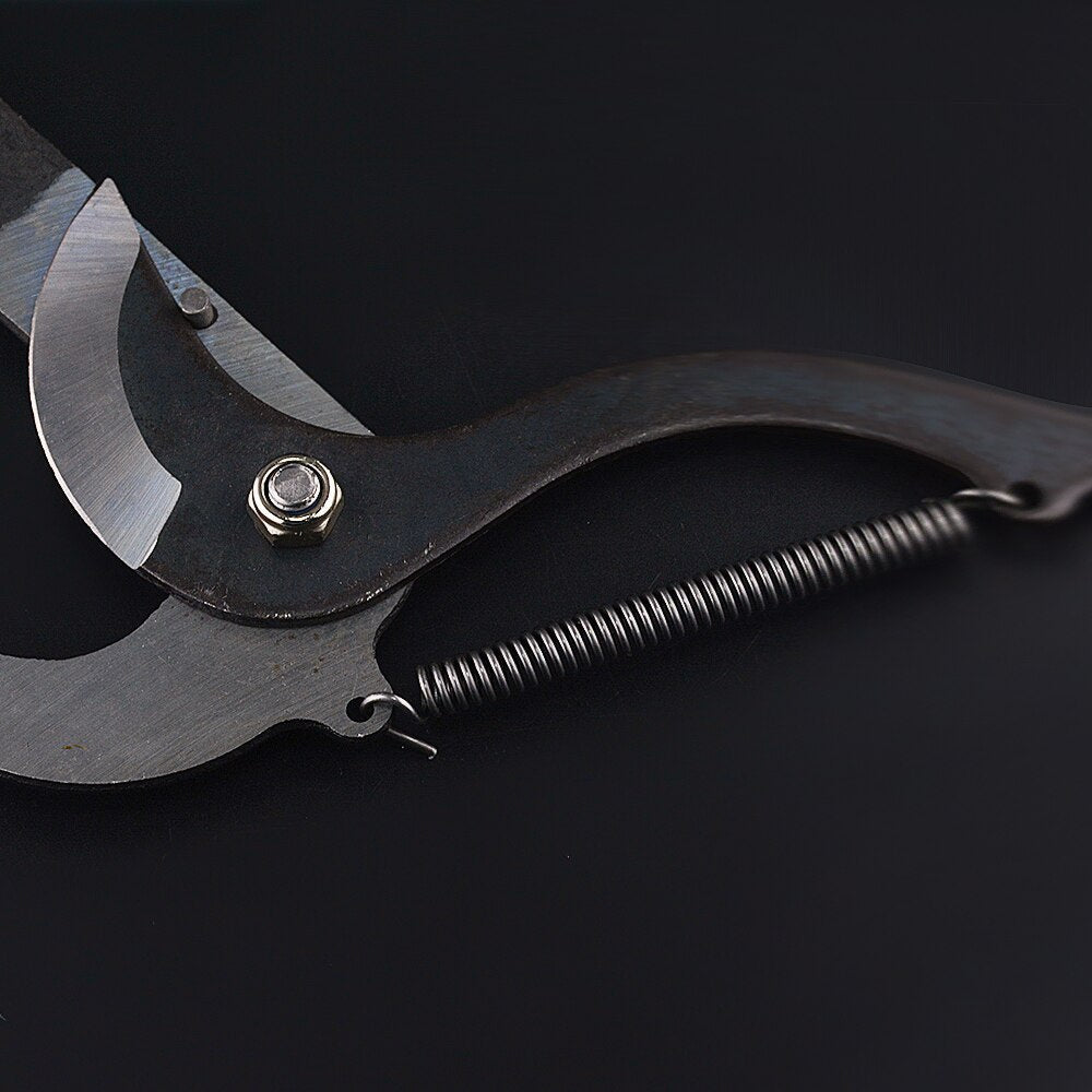 Elevate Your Gardening with Extendable Branch Shears