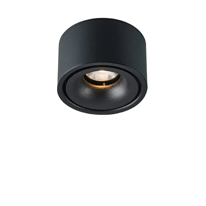 Versatile LED Ceiling Spotlight with Adjustable Beam