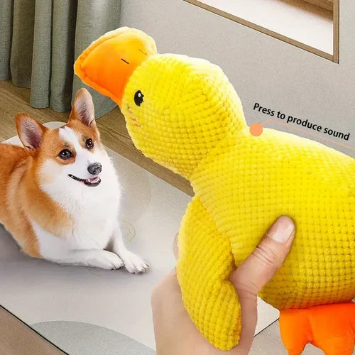 Soothing Quacker Plush Toy for Dogs