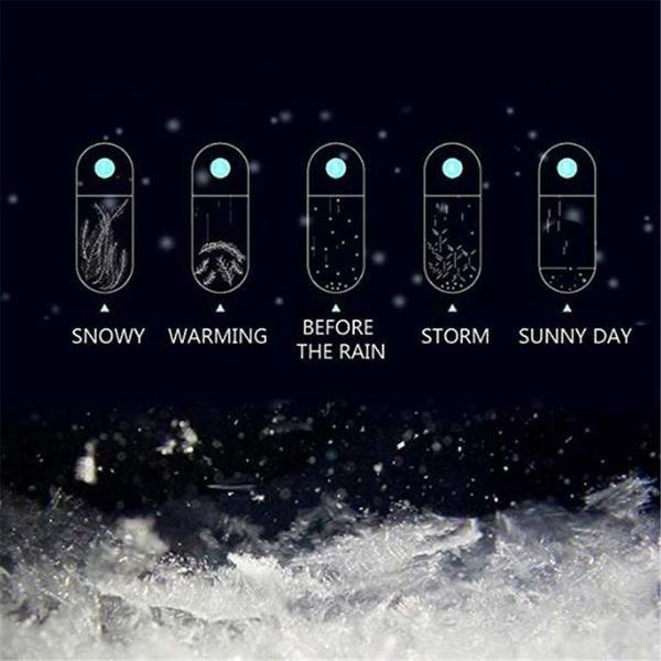 Elegant Weather Predictor | Stylish Glass Barometer with Wooden Stand