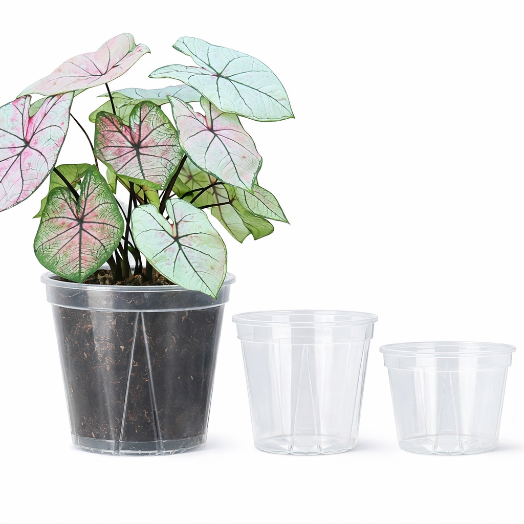 Translucent Planters for Optimal Root Health & Growth Monitoring