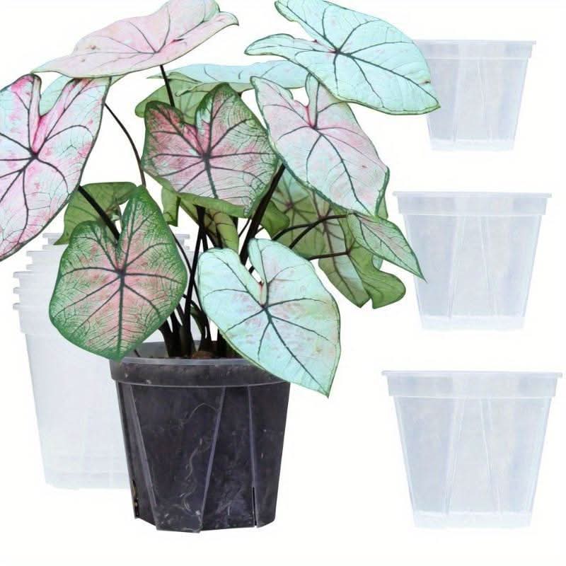 Translucent Planters for Optimal Root Health & Growth Monitoring