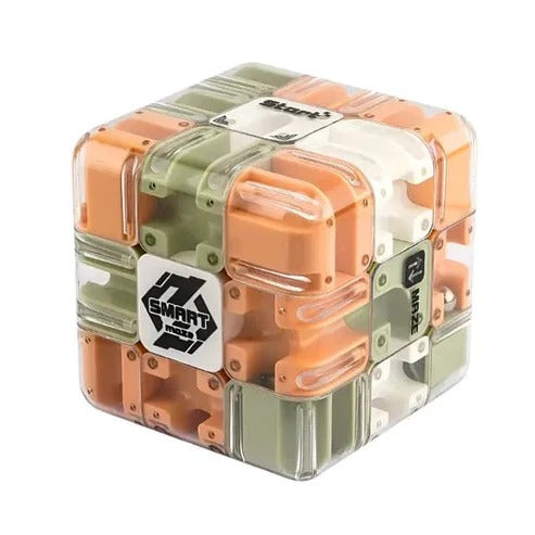 3D Maze Cube Transparent Stainless Steel Ball