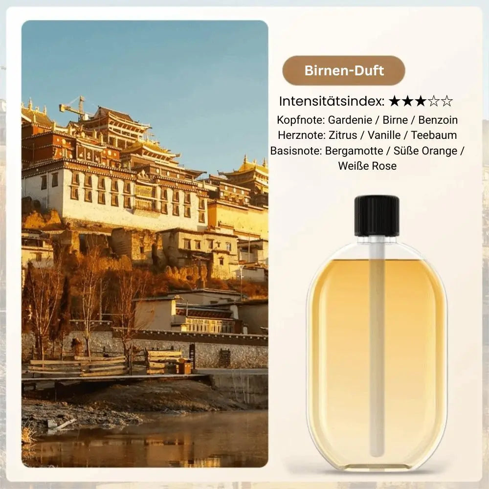 Aroma Diffuser Nano-Mist & Mood Light USB Rechargeable