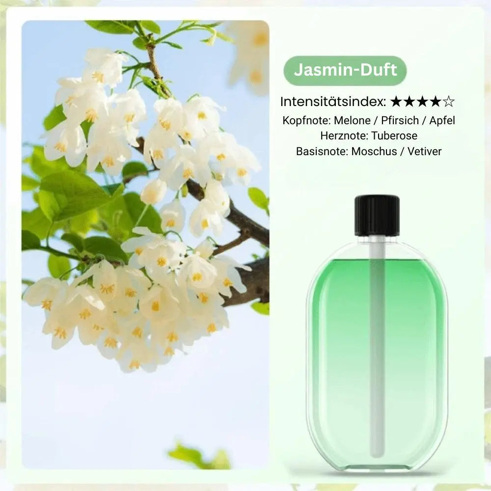 Aroma Diffuser Nano-Mist & Mood Light USB Rechargeable