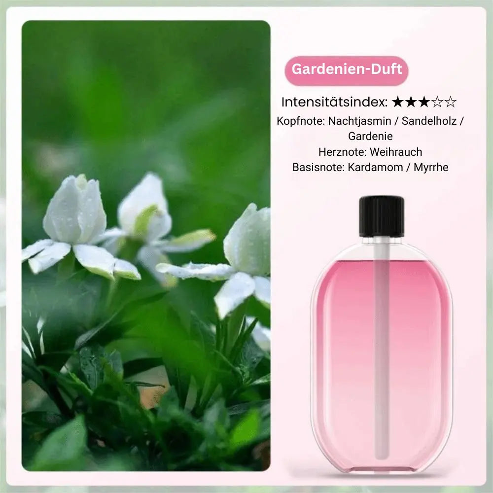 Aroma Diffuser Nano-Mist & Mood Light USB Rechargeable