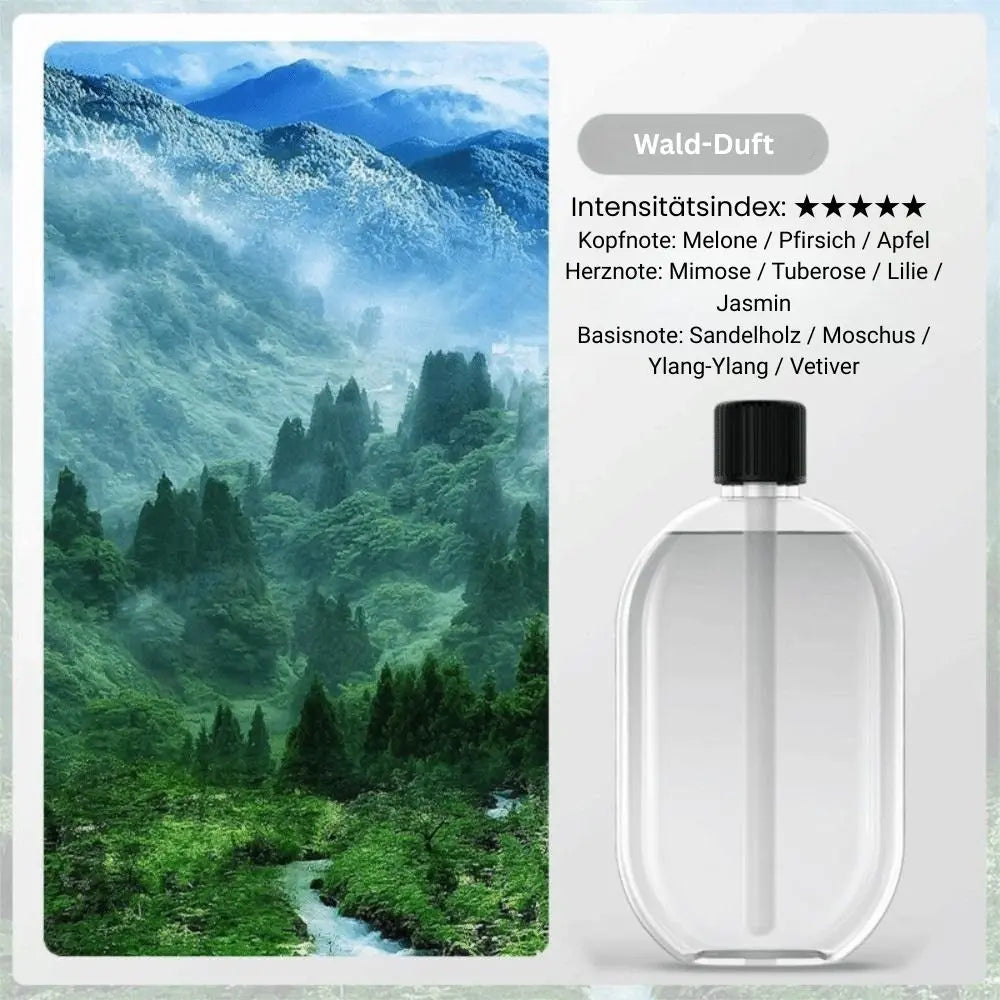 Aroma Diffuser Nano-Mist & Mood Light USB Rechargeable