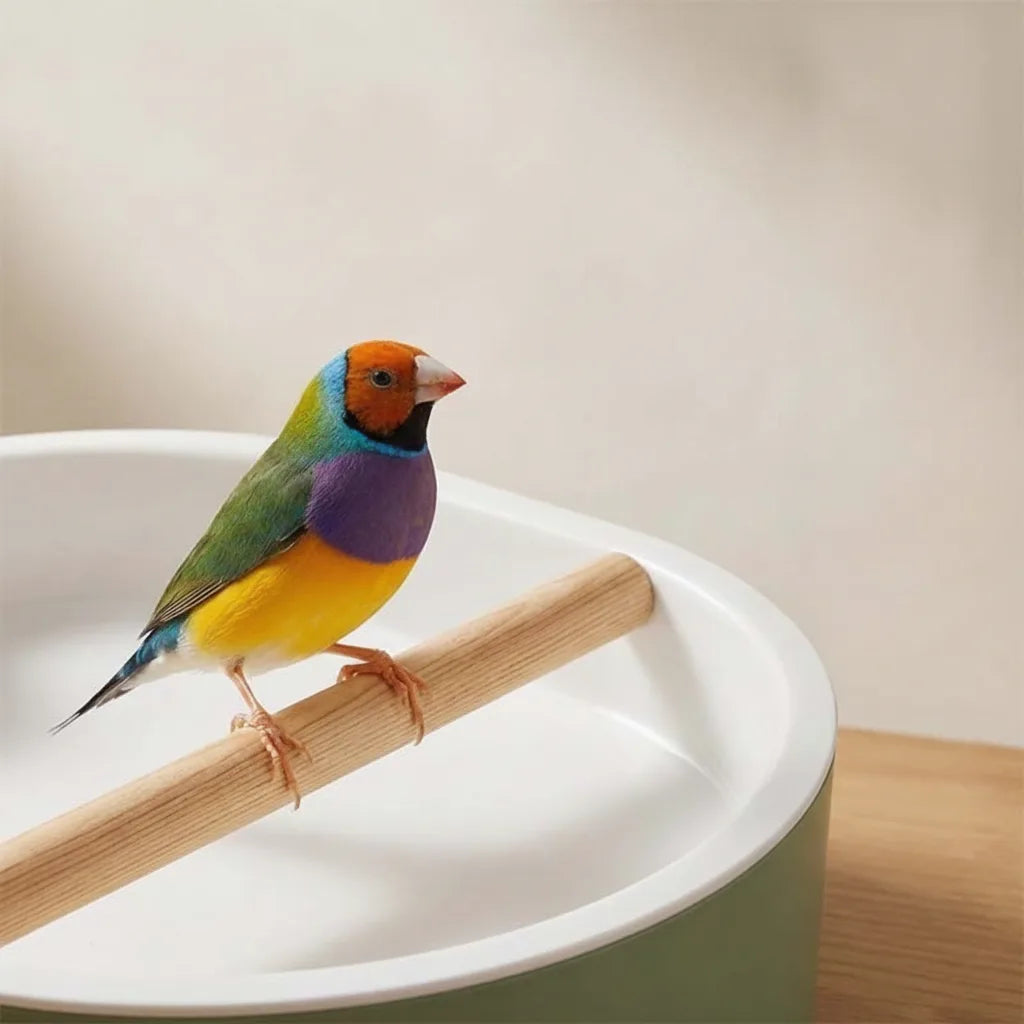 Bird Bathtub Circulating Pump USB Powered Non-Slip Basin