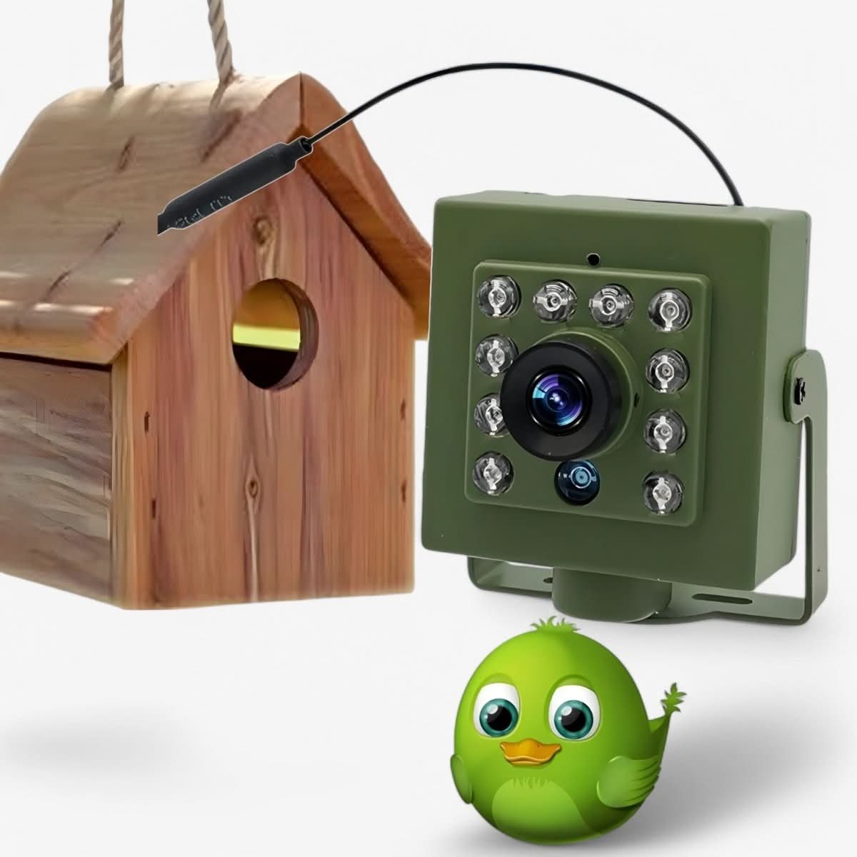 Birdwatching Camera 1080p HD Night Vision Weatherproof
