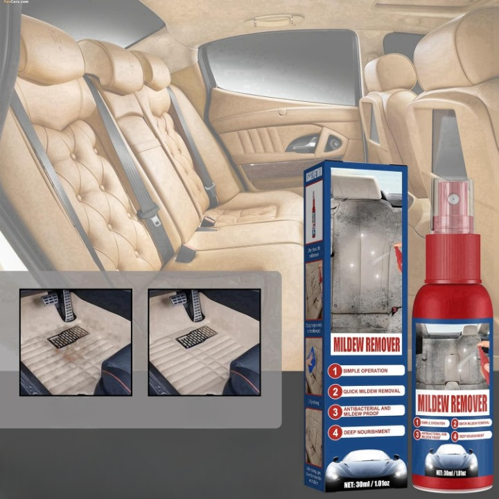 Car Mold Remover Spray Gentle Leather & Fabric 2-Pack