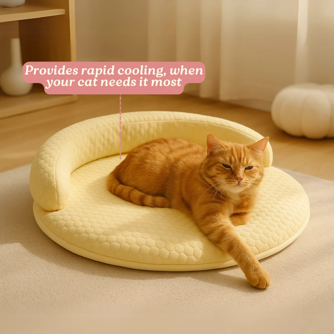 Cat Bed Orthopedic Foam Cooling Ice Silk Raised Edge