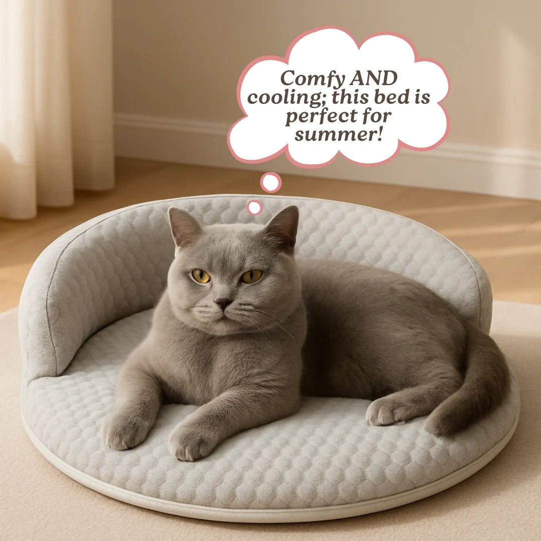 Cat Bed Orthopedic Foam Cooling Ice Silk Raised Edge