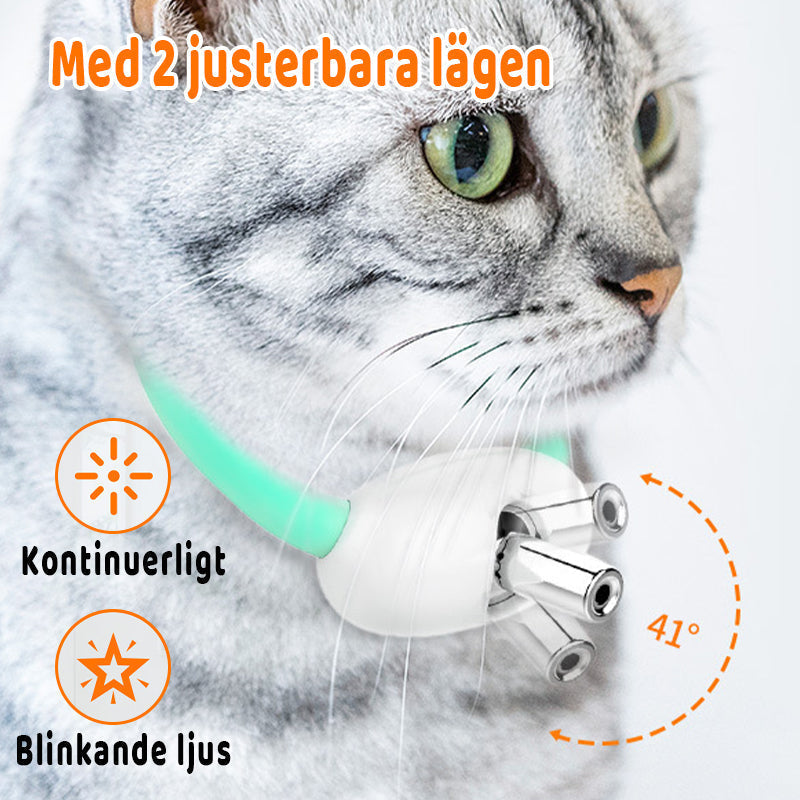 Cat Collar Motion-Activated Laser USB Rechargeable & Hypoallergenic