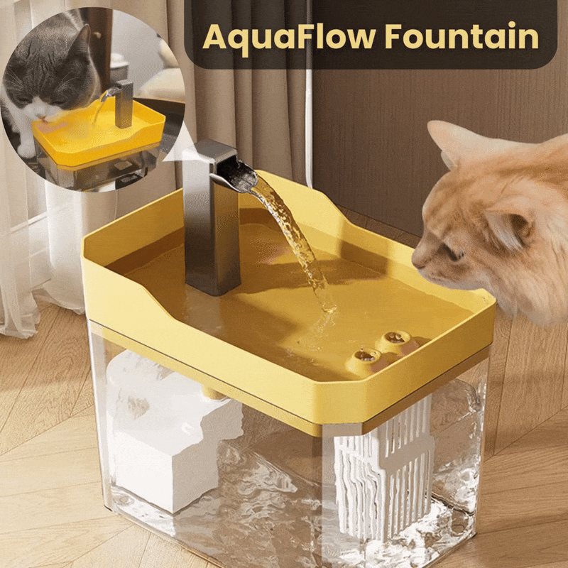 Cat Drinking Fountain 360 Degree Flow Whisper-Quiet Pump