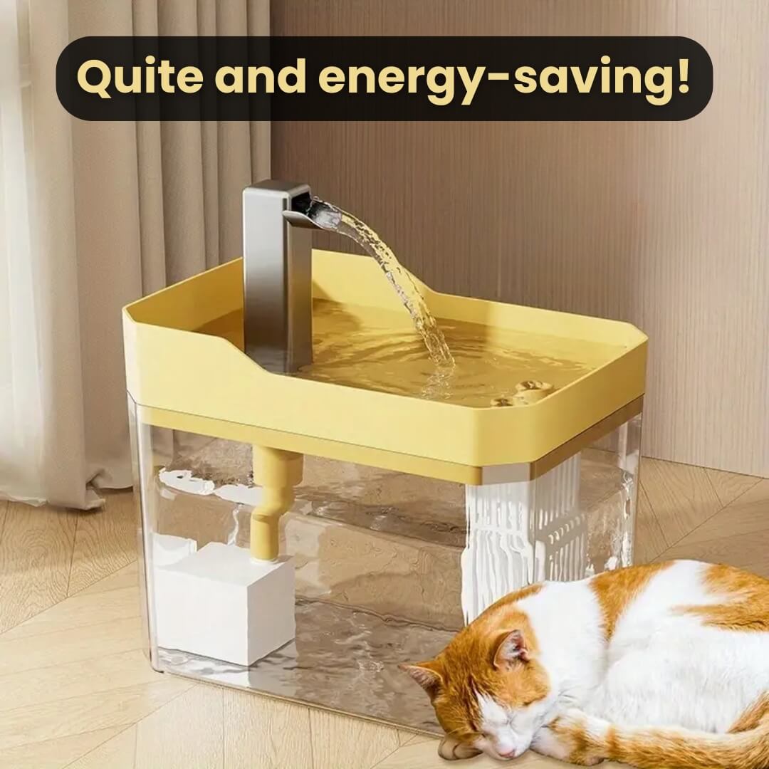 Cat Drinking Fountain 360 Degree Flow Whisper-Quiet Pump