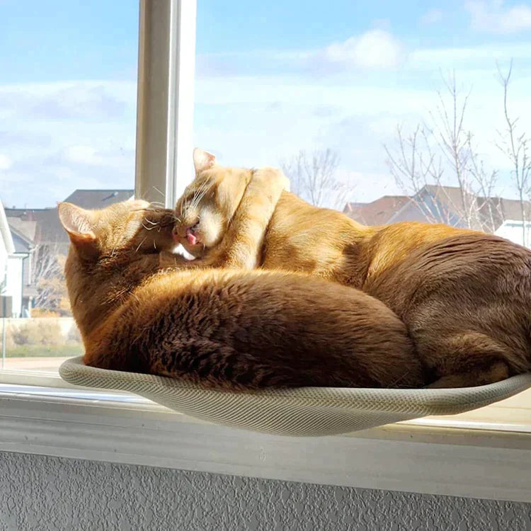 Cat Hammock Plush Oxford Window & Wall Mount