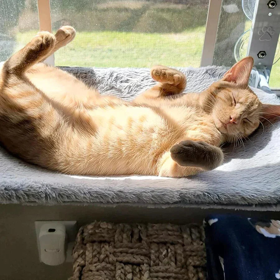 Cat Hammock Plush Oxford Window & Wall Mount