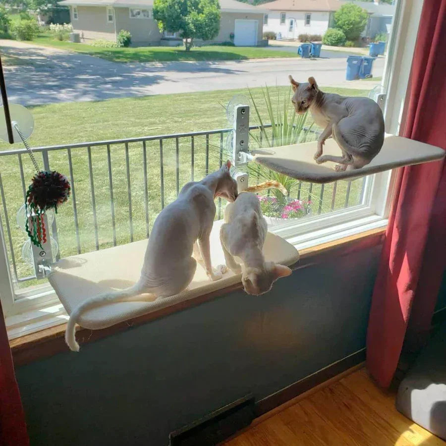 Cat Hammock Plush Oxford Window & Wall Mount