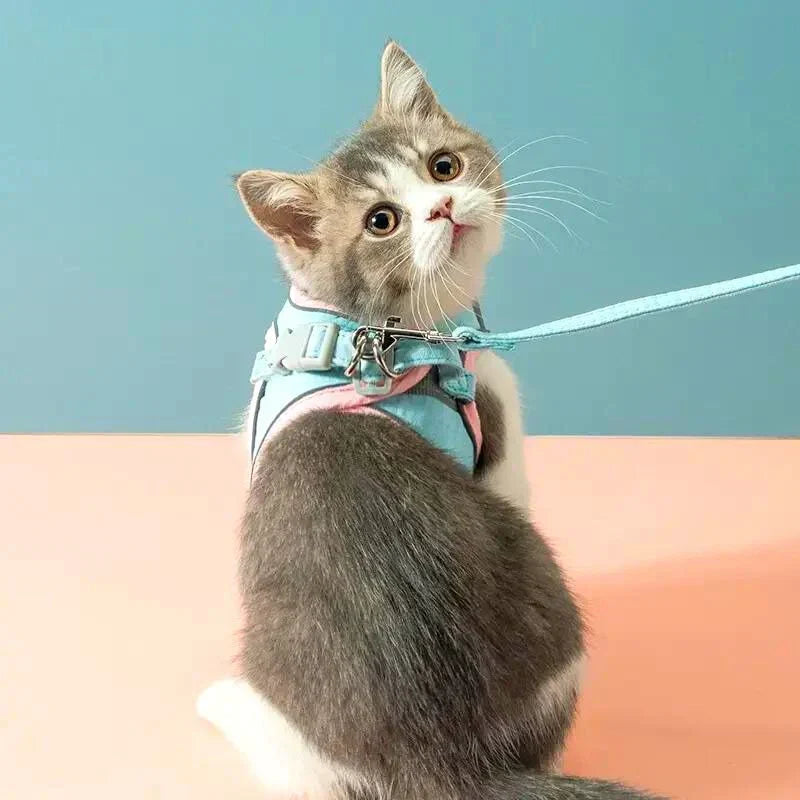 Cat Harness & Leash Soft Padded Reflective Stripes