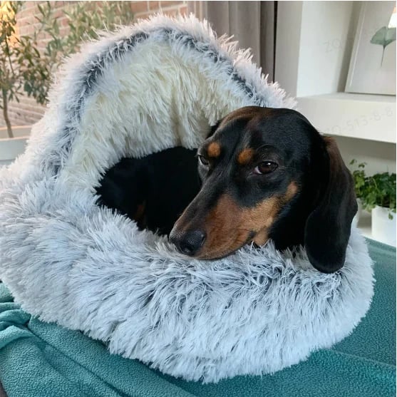 Cat & Small Dog Bed Plush Semi-Cave Machine Washable
