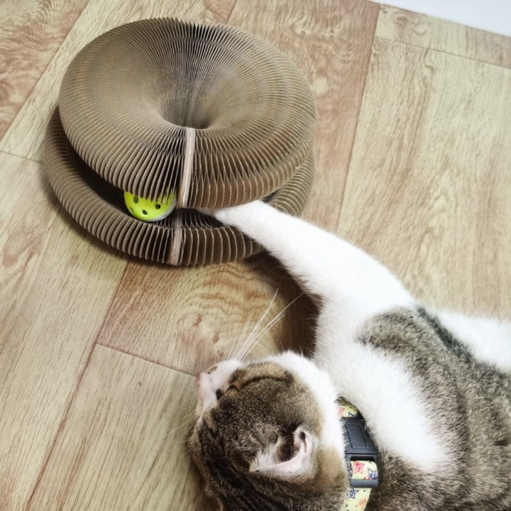 Cat Toy Interactive Hunting Stimulator & Scratch-Resistant Board