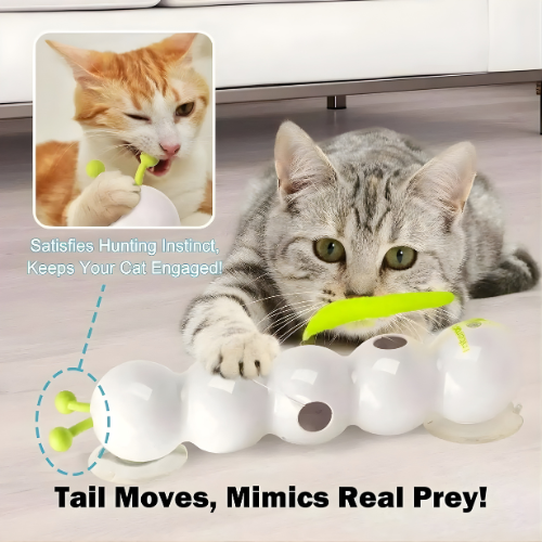Cat Toy Wall-Mounted Motorized Rotating USB Rechargeable