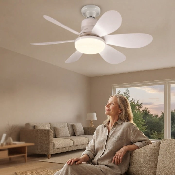 Ceiling Fan LED Adjustable Color Temp Remote