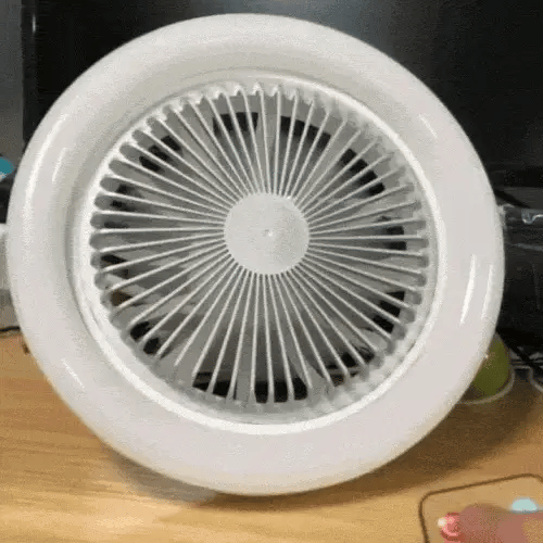 Ceiling Fan Light LED Screw-In E27 Remote & Timer