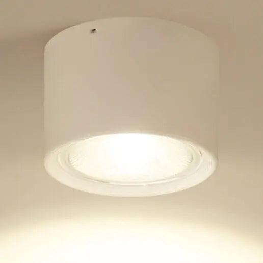 Ceiling Spotlight Cylindrical Adjustable Aim Integrated COB LED