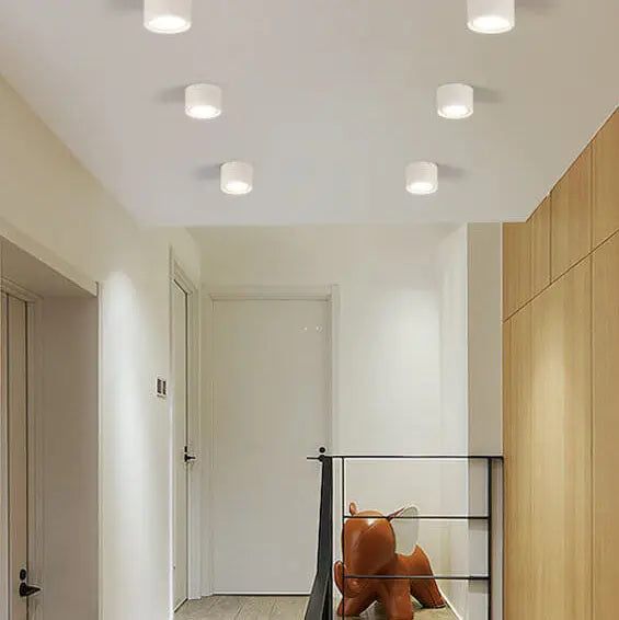 Ceiling Spotlight Cylindrical Adjustable Aim Integrated COB LED