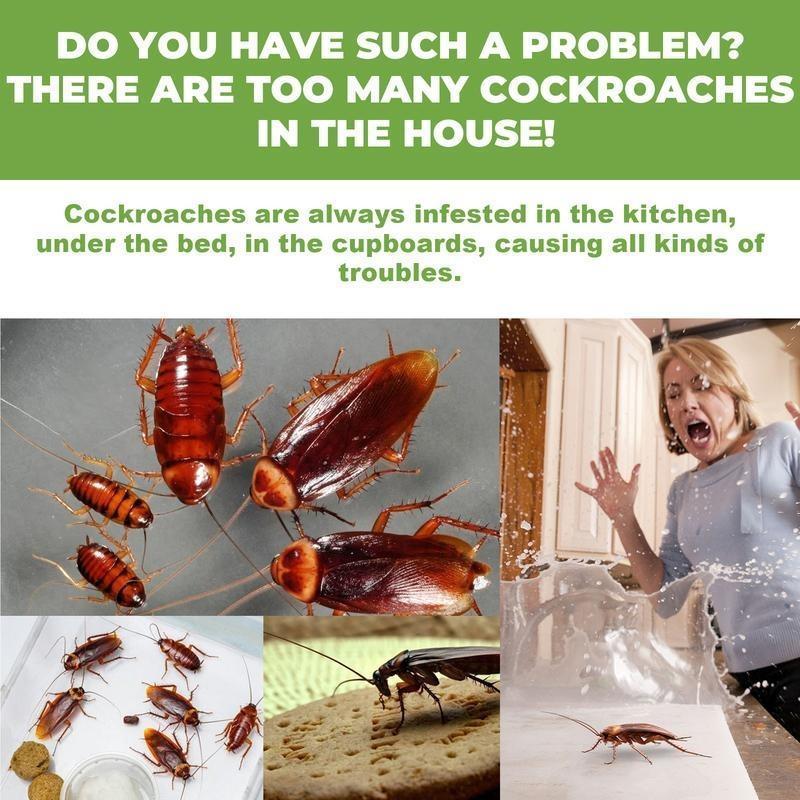 Cockroach Bait Adhesive Low Odor 12 Pack