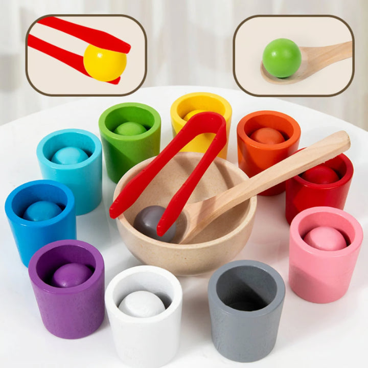 Color Matching Set Wooden Fine Motor Skills