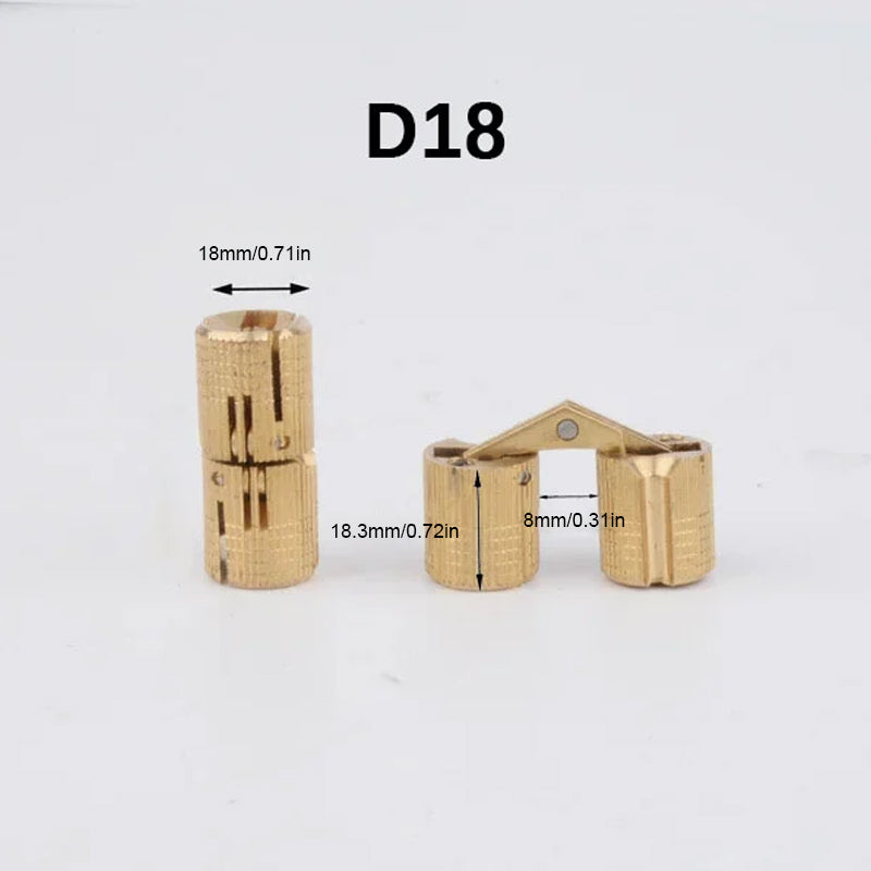 Concealed Hinges Recessed Invisible Brass 180 Degree