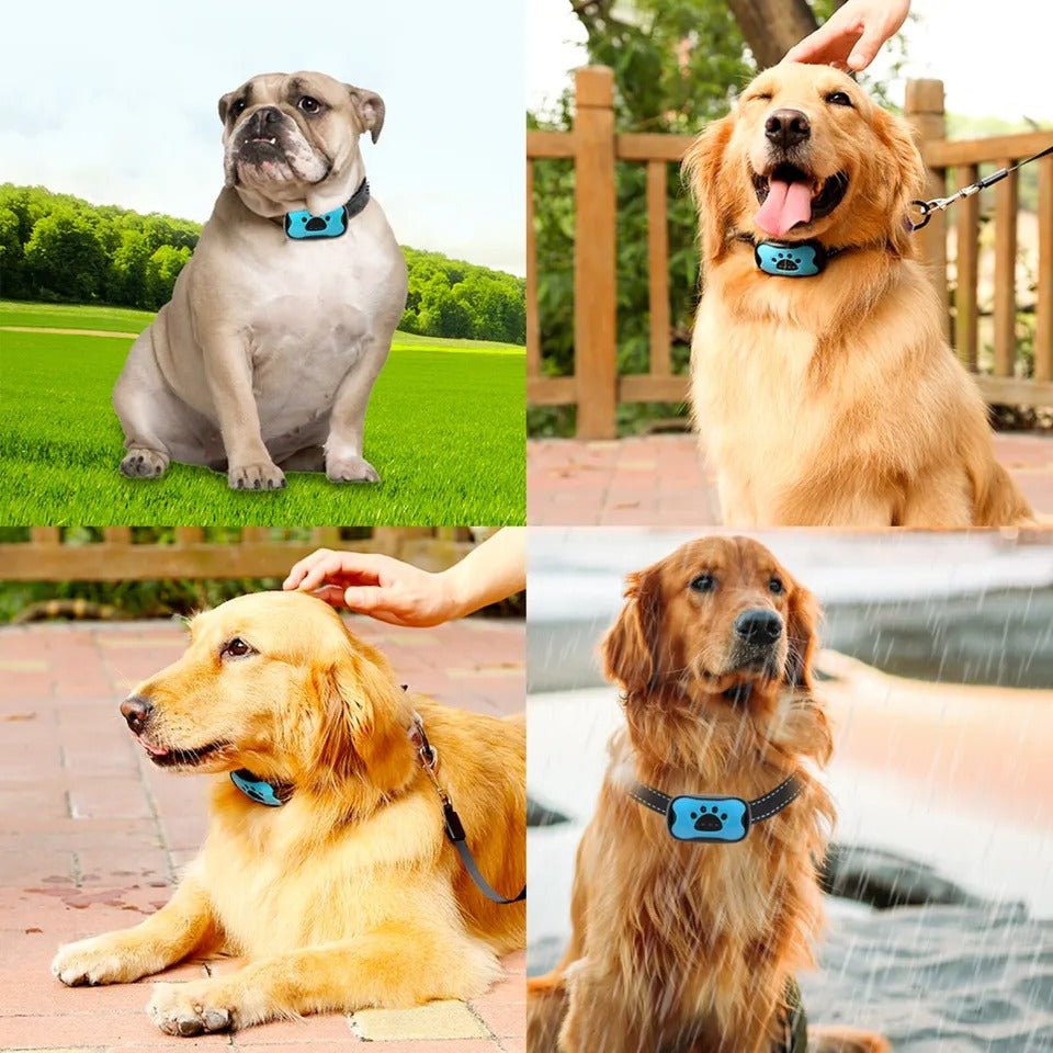 Dog Anti-Bark Collar Sound Wave Correction Adjustable 23–56 cm