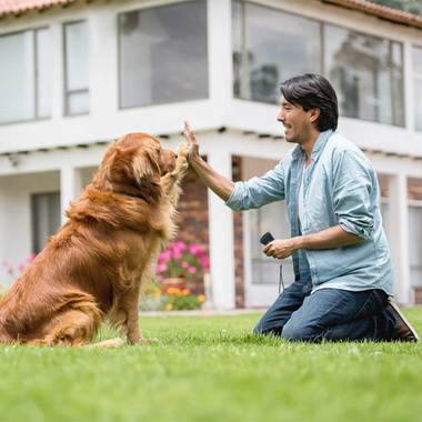 Dog Bark Trainer Ultrasonic LED 49 Ft Range
