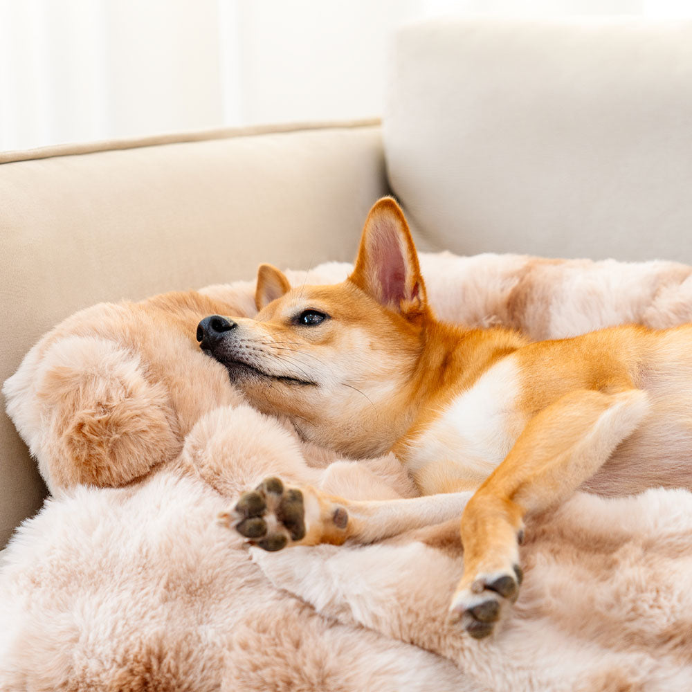 Dog Bed Ultra-Soft Plush Non-Slip Machine Washable