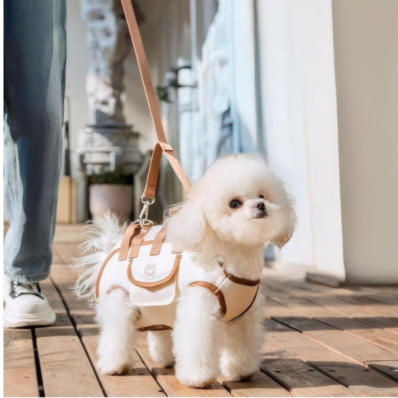 Dog Carrier Breathable Mesh Padded Handle & Adjustable Strap