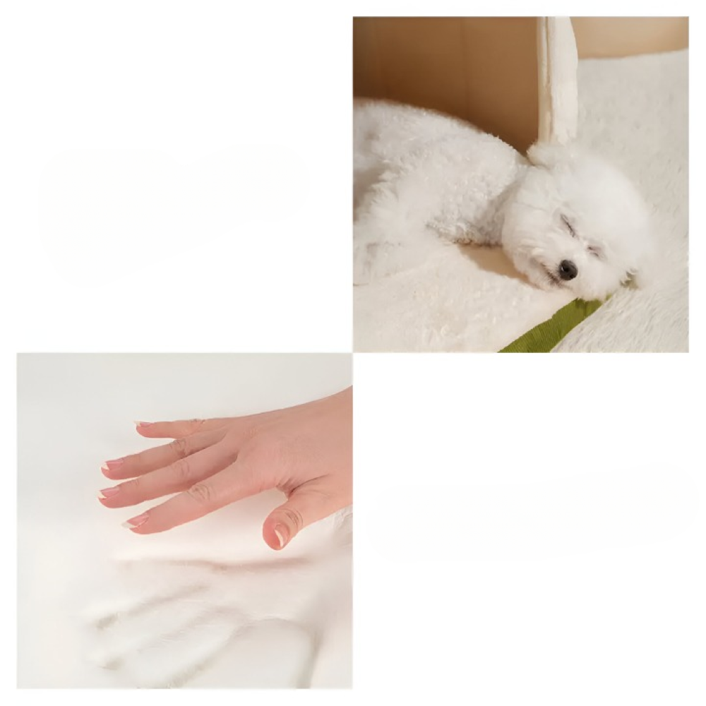Dog & Cat Bed Convertible Cave-to-Flat Orthopedic Foam