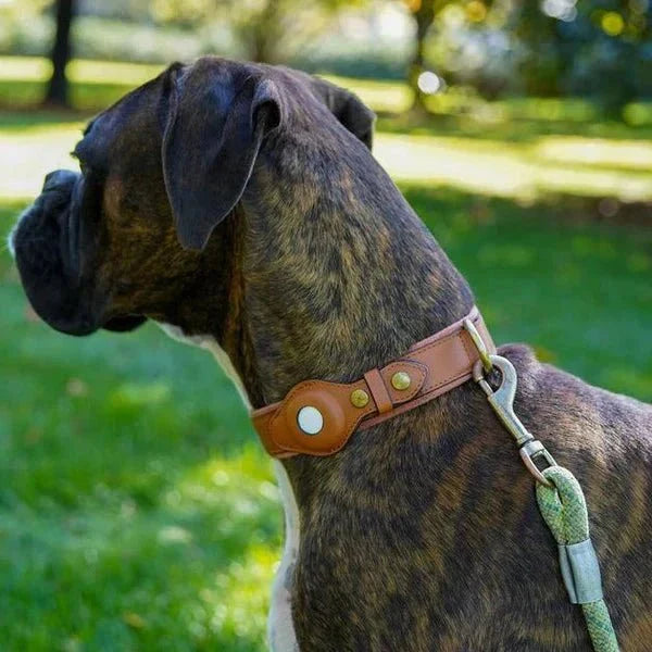 Dog Collar AirTag Holder Recycled Leather Waterproof