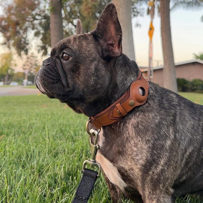 Dog Collar AirTag Holder Recycled Leather Waterproof