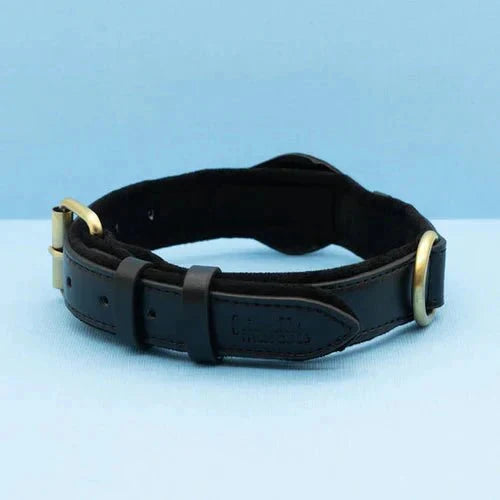 Dog Collar AirTag Holder Recycled Leather Waterproof