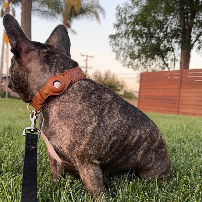 Dog Collar AirTag Holder Recycled Leather Waterproof