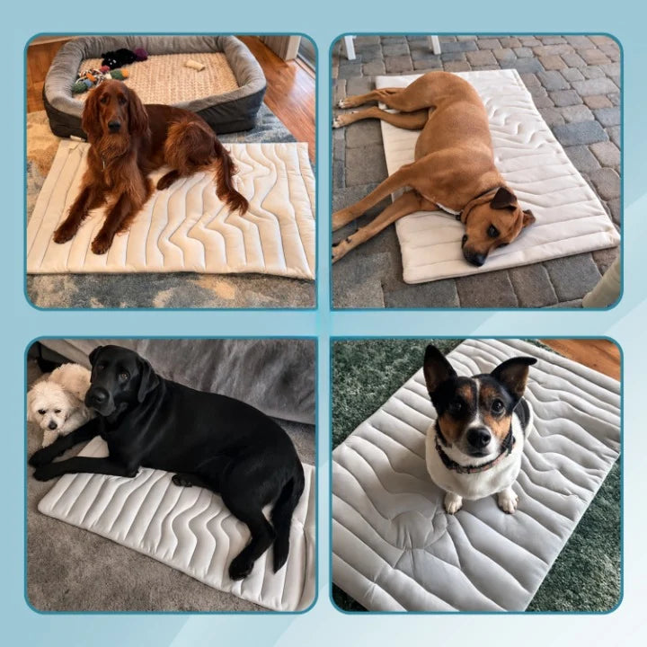 Dog Cooling Mat Self-Activating Cooling Gel Machine-Washable & Foldable