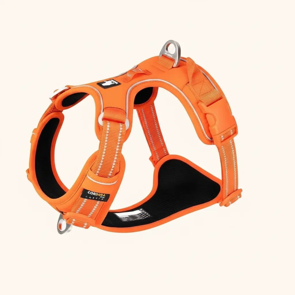 Dog Harness Breathable Fabric Adjustable Straps One-Hand Release Buckles