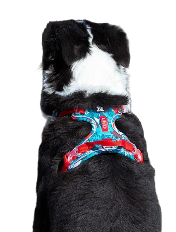 Dog Harness Breathable Fabric Adjustable Straps & Sturdy Buckles
