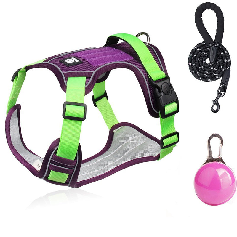 Dog Harness & Leash Anti-Pull Front-Clip LED Collar