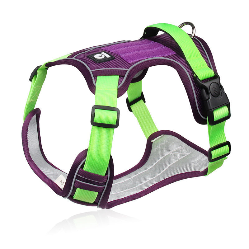 Dog Harness & Leash Anti-Pull Front-Clip LED Collar