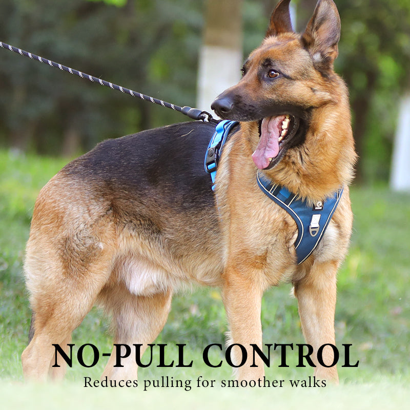 Dog Harness Set Anti-Pull Front-Clip Padded Adjustable LED Collar