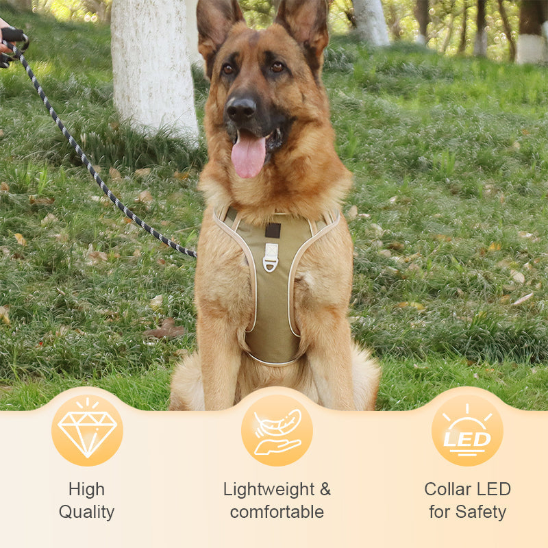 Dog Harness Set Anti-Pull Front-Clip Padded Adjustable LED Collar