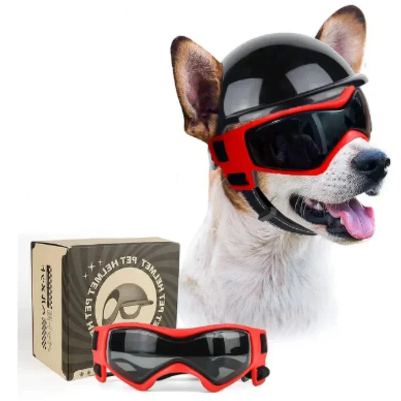 Dog Helmet & Goggles Adjustable Fit & Polycarbonate Lenses